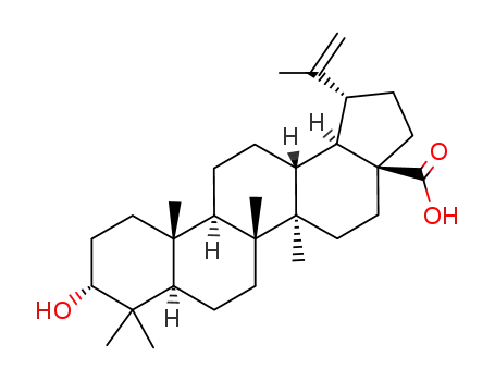 Molecular Structure of 38736-77-5 (Epibetulinic acid)