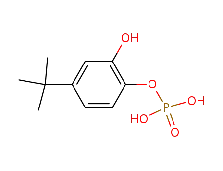 phosphoric acid mono(4-t-butyl 2-hydroxyphenyl) ester