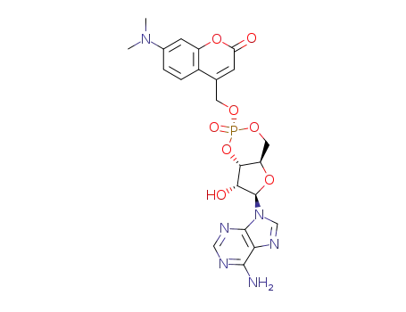 equatorial-[7-(dimethylamino)coumarin-4-yl]methyl adenosine cyclic 3',5'-monophosphate