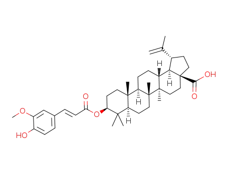 (2'E,3S,5R,8R,9R,10R,13R,14R,17S,18R,19R)-3-O-trans-feruloyllup-20(29)-en-28-oic acid