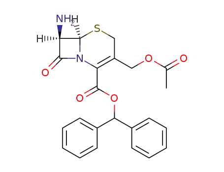 benzhydryl 7-aminocephalosporanate
