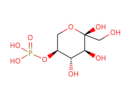 α-L-sorbopyranose-5P