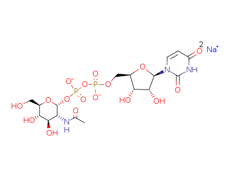 UDP-ALPHA-D-N-ACETYLGLUCOSAMINE, DISODIUM SALT