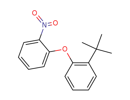 Molecular Structure of 212691-73-1 (Benzene, 1-(1,1-dimethylethyl)-2-(2-nitrophenoxy)-)