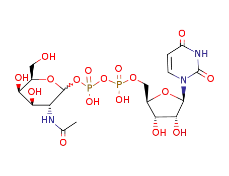 uridine 5'-diphospho-2-acetamido-2-deoxy-α-D-glacopyranoside