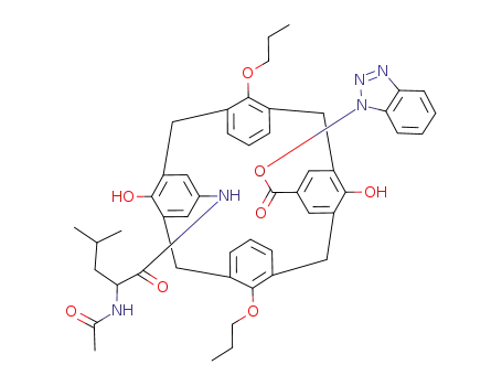 11-[N-acetyl-(dl)-leucyl]amino-23-benzotriazolyloxycarbonyl-25,27-dihydroxy-26,28-dipropoxycalix[4]arene