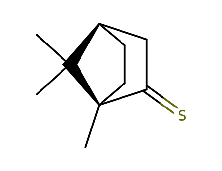 Molecular Structure of 53402-10-1 ((1R)-(-)-Thiocamphor)