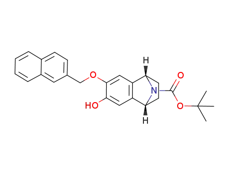 tert-butyl 4-hydroxy-5-[(naphthalen-2-yl)methoxy]-11-azatricyclo[6.2.1.02,7]undeca-2(7),3,5-triene-11-carboxylate