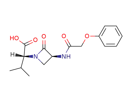 (R)-α-[(S)-2-oxo-3-(2-phenoxy-acetylamino)-azetidin-1-yl]-isovaleric acid