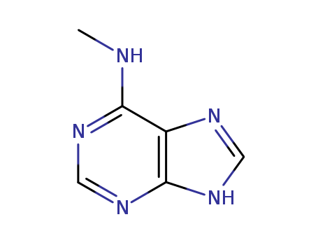 6-methylaminopurine