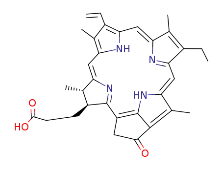 Molecular Structure of 24533-72-0 (pyropheophorbide a)