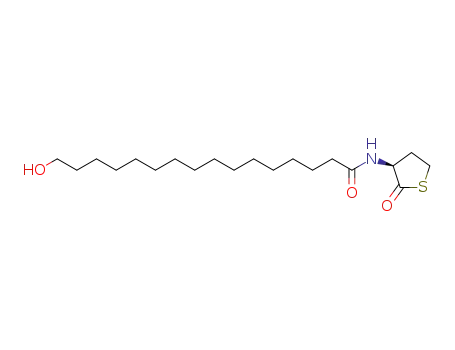 16-hydroxy-hexadecanoyl-homocysteine thiolactone amide