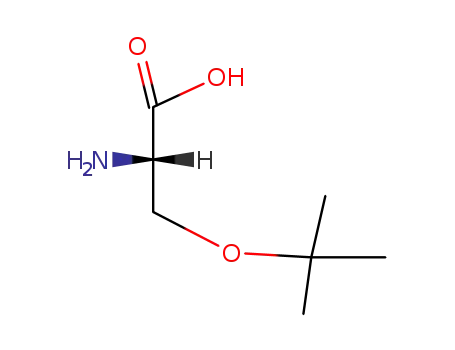 Molecular Structure of 18822-58-7 (H-SER(TBU)-OH)