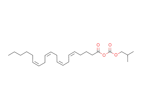 arachidonoyl isobutyl carbonate