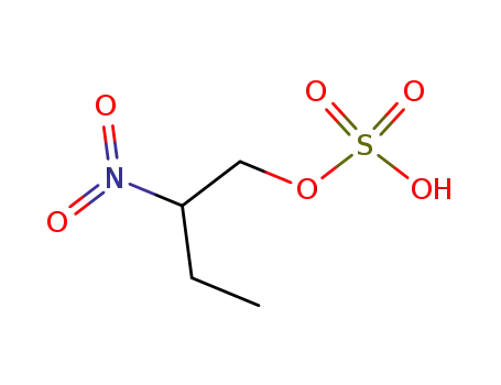 sulfuric acid mono-(2-nitro-butyl ester)