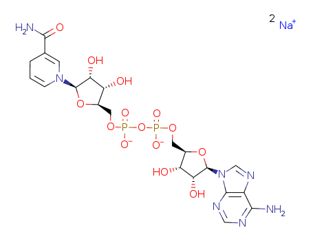 606-68-8,beta-Nicotinamide adenine dinucleotide disodium salt,5'-ester with 1,4-dihydro-1-b-D-ribofuranosyl-3-pyridinecarboxamide, disodium salt (9CI);5'-ester with 1,4-dihydro-1-b-D-ribofuranosylnicotinamide, disodium salt (8CI);Disodium NADH;NADHdisodium salt;