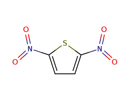 Molecular Structure of 59434-05-8 (2,5-dinitrothiophene)