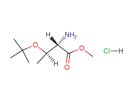 methyl O-(1,1-dimethylethyl)-L-threoninate hydrochloride