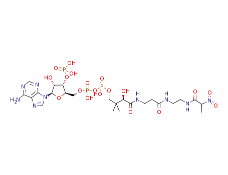 2-nitropropionylamino(dethia)CoA