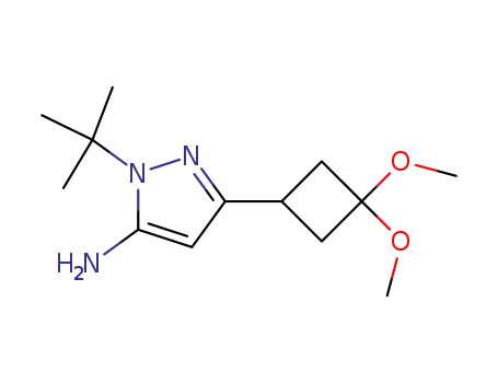 Molecular Structure of 817641-93-3 (1H-Pyrazol-5-amine, 3-(3,3-dimethoxycyclobutyl)-1-(1,1-dimethylethyl)-)