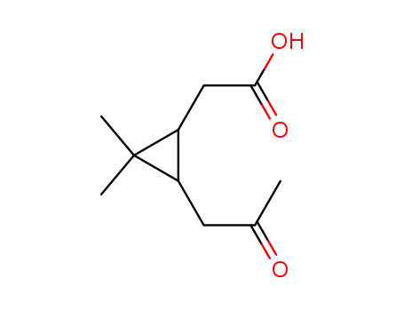 Molecular Structure of 99265-61-9 (Cyclopropaneacetic acid, 2,2-dimethyl-3-(2-oxopropyl)-)