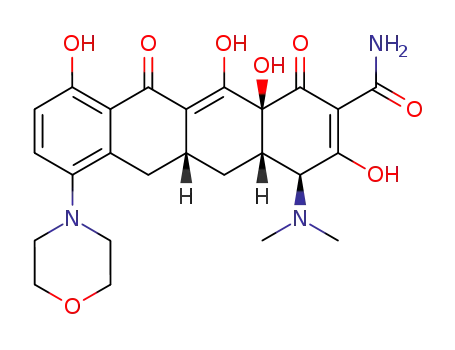 (4S,4aS,5aR,12aS)-4-Dimethylamino-3,10,12,12a-tetrahydroxy-7-morpholin-4-yl-1,11-dioxo-1,4,4a,5,5a,6,11,12a-octahydro-naphthacene-2-carboxylic acid amide