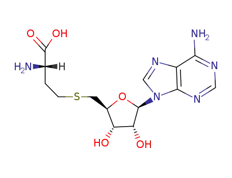 Molecular Structure of 979-92-0 (5'-DEOXY-S-ADENOSYL-L-HOMOCYSTEINE)