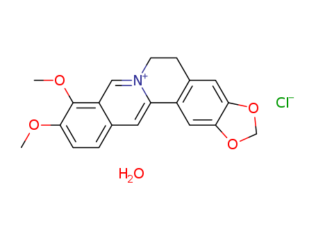 Benzo(g)-1,3-benzodioxolo(5,6-a)quinolizinium, 5,6-dihydro-9,10-dimethoxy-, chloride, monohydrate(68030-18-2)