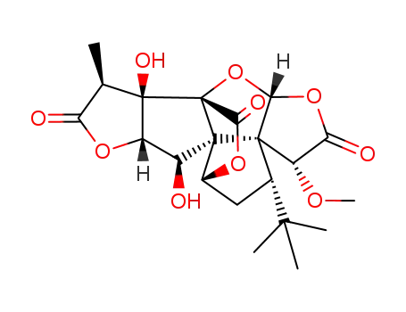 10-O-methylginkgolide B