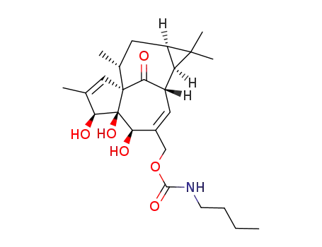 ((1aR,2S,5R,5aR,6S,8aS,9R,10aR)-5,5a,6-trihydroxy-1,1,7,9-tetramethyl-11-oxo-1a,2,5,5a,6,9,10,10a-octahydro-1H-2,8a-methanocyclopenta[a]cyclopropa[e][10]annulen-4-yl)methyl butylcarbamate
