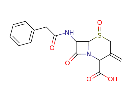3-methylene-7-phenylacetamidocepham-4-carboxylic acid 1-sulfoxide