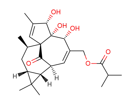 20-O-Isobutyryl-ingenol