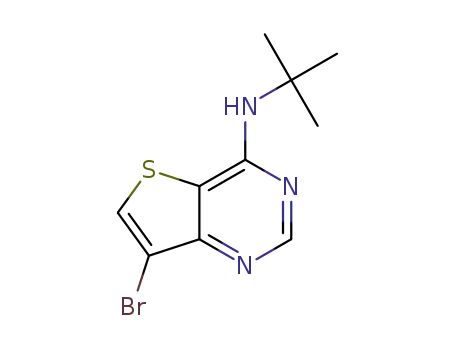 7-bromo-N-(tert-butyl)thieno[3,2-d]pyrimidin-4-amine