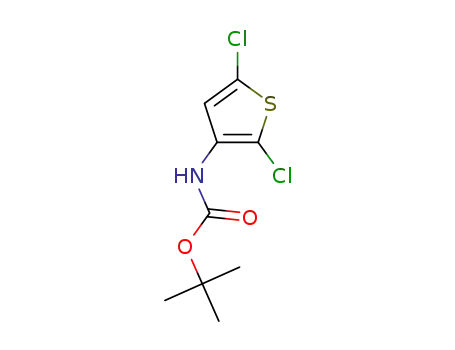 tert‐butyl N‐(2,5‐dichlorothiophen‐3‐yl)carbamate