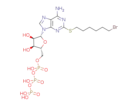 2[(6-bromohexyl)thio]adenosine 5'-triphosphate