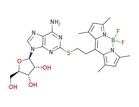 S-[2-(4,4-difluoro-11,3,5,7-tetra-methyl-4-bora-3a,4a-diazas-indacen-8-yl)ethyl]-2-thioadenosine