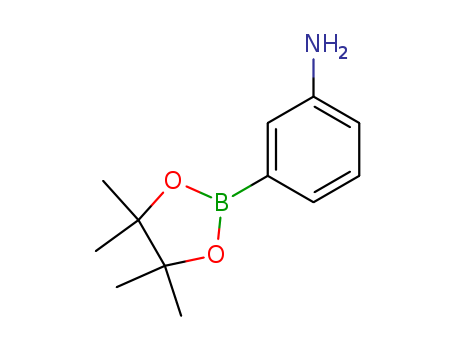 3-Aminophenylboronic acid pinacol ester