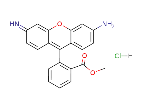 Molecular Structure of 62669-70-9 (Rhodamine 123)