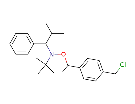 Molecular Structure of 227000-85-3 (N-tert-Butyl-O-[1-[4-(chloroMethyl)phenyl]ethyl]-N-(2-Methyl-1-phenylpropyl)hydroxylaMine)
