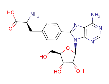 (S)-2-amino-3-{4-[6-amino-9-(β-D-ribofuranosyl)purin-8-yl]phenyl}propanoic acid