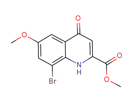 8-bromo-6-methoxy-4-oxo-1,4-dihydroquinoline-2-carboxylic acid methyl ester