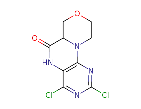 2,4-dichloro-6a,7,9,10-tetrahydro-[1,4]oxazino[3,4-h]pteridin-6(5H)-one