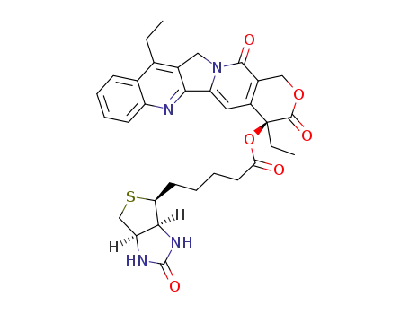 biotin-(20s)-7-ethylcamptothecin