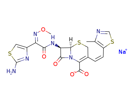 Cefditoren Acid Sodium Salt