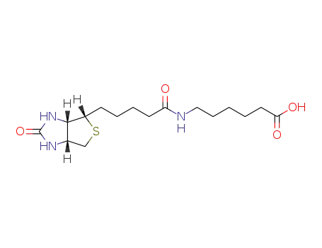 N-(+)-biotinyl-6-aminocaproic acid