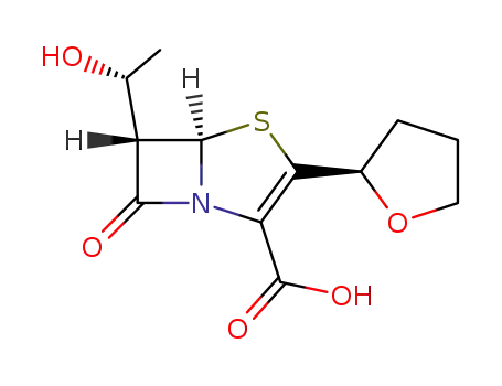 Molecular Structure of 106560-14-9 (Faropenem sodium hemipentahydrate)