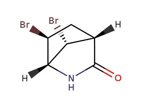 (1R,4R,6S,7R)-6,7-dibromo-2-azabicyclo[2.2.1]heptan-3-one