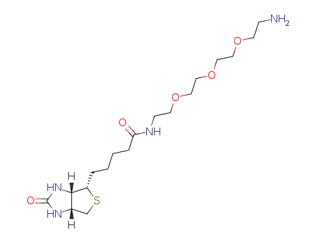 Molecular Structure of 359860-27-8 (N-BIOTINYL-3,6,9-TRIOXAUNDECANE-1,11-DIAMINE)