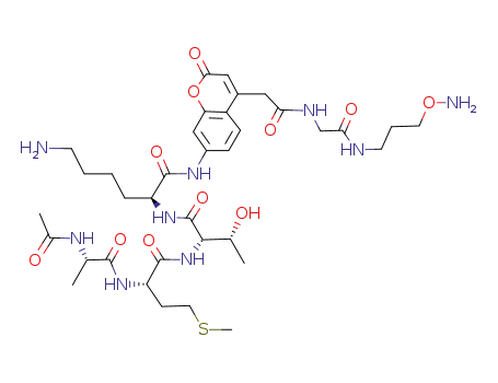 (S)-2-{(2S,3R)-2-[(S)-2-((S)-2-Acetylamino-propionylamino)-4-methylsulfanyl-butyrylamino]-3-hydroxy-butyrylamino}-6-amino-hexanoic acid [4-({[(3-aminooxy-propylcarbamoyl)-methyl]-carbamoyl}-methyl)-2-oxo-2H-chromen-7-yl]-amide