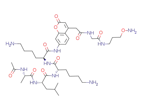 (S)-2-{(S)-2-[(S)-2-((S)-2-Acetylamino-propionylamino)-4-methyl-pentanoylamino]-6-amino-hexanoylamino}-6-amino-hexanoic acid [4-({[(3-aminooxy-propylcarbamoyl)-methyl]-carbamoyl}-methyl)-2-oxo-2H-chromen-7-yl]-amide